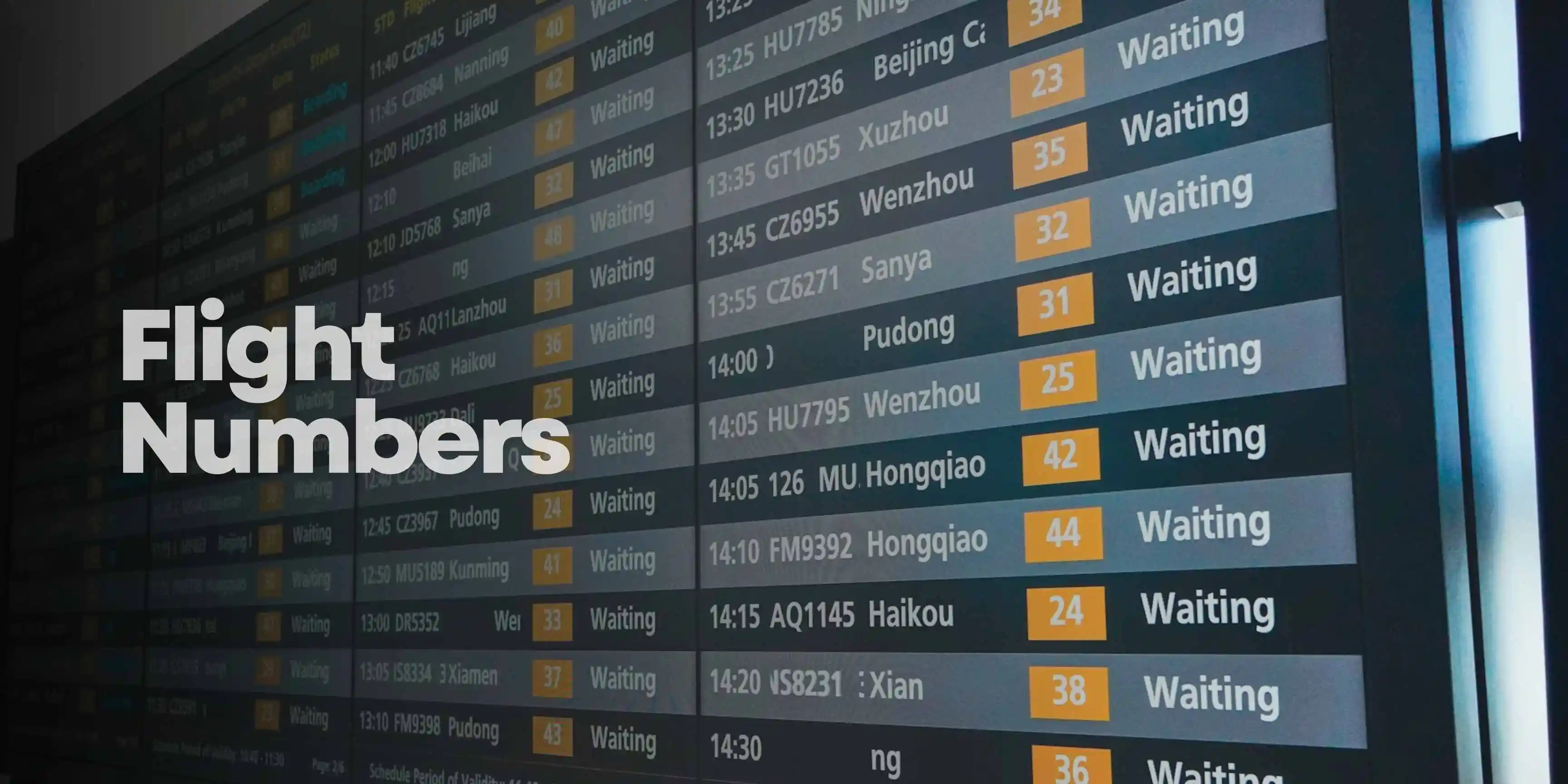 Flight Numbers What are Flight Numbers? And What do they Mean? | Guide